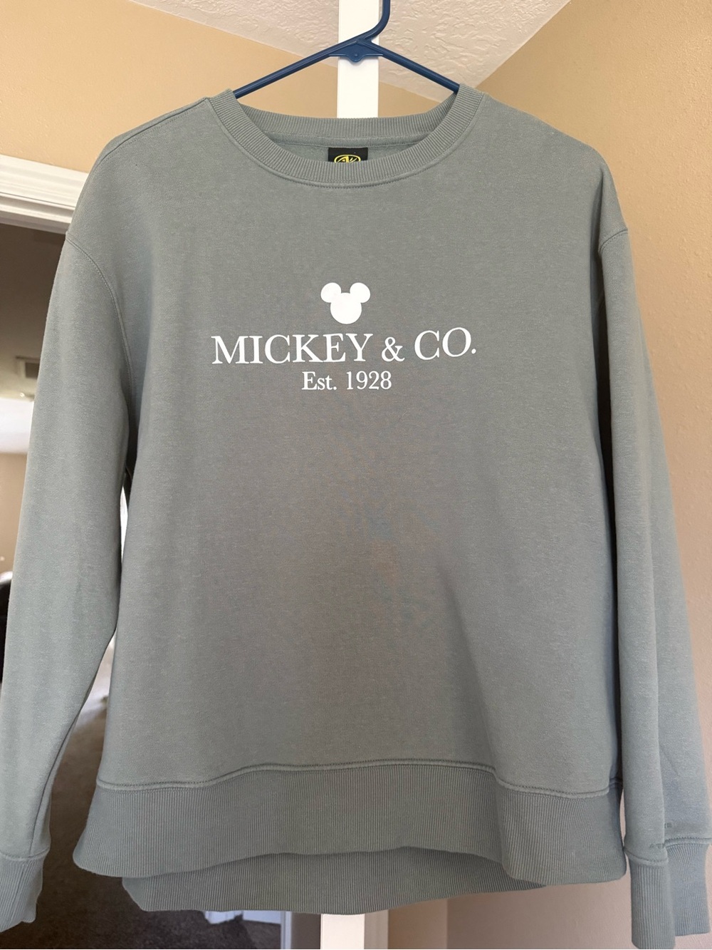 Women’s Crewneck Sweatshirt in Sage Green